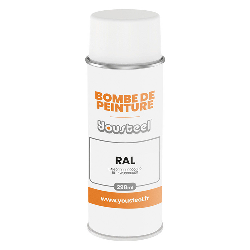 Bombe de retouche 298 ml - Finition BRILLANTE