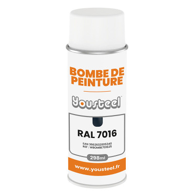 Bombe de retouche 298 ml - Finition BRILLANTE